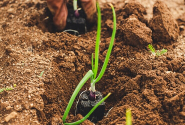 Will Boosting SNAP Be Good For Our Farming?