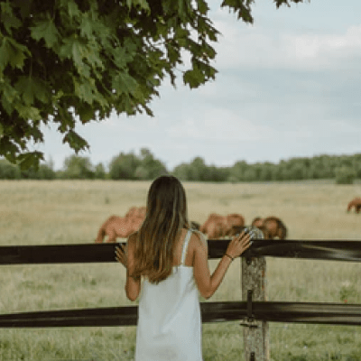 Farm Culture Is At Increase In The Rural Areas
